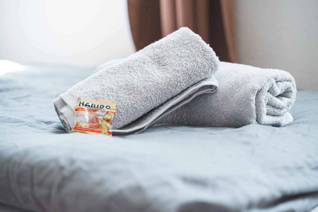 Über uns 16 Dresden 3-Zimmer Wohnung für 5 Personen DD04